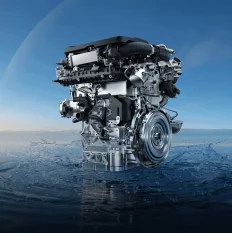 5th_generation_f358822e01